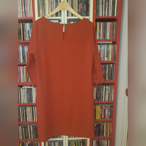 Reitmens pumpkin spice dress - Picture 6 of 7